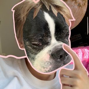 Meet your Posher, Lucy